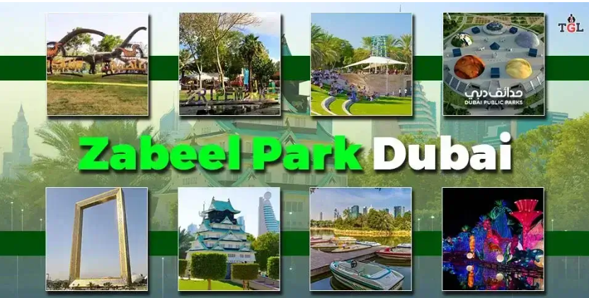 Families enjoying a sunny day at Zabeel Park Dubai – peaceful green space in Dubai with picnic and play areas