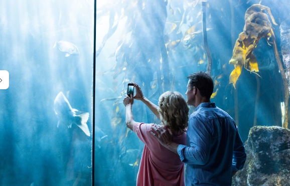 Kids observing penguins and otters at Underwater Zoo Dubai, a top family-friendly place