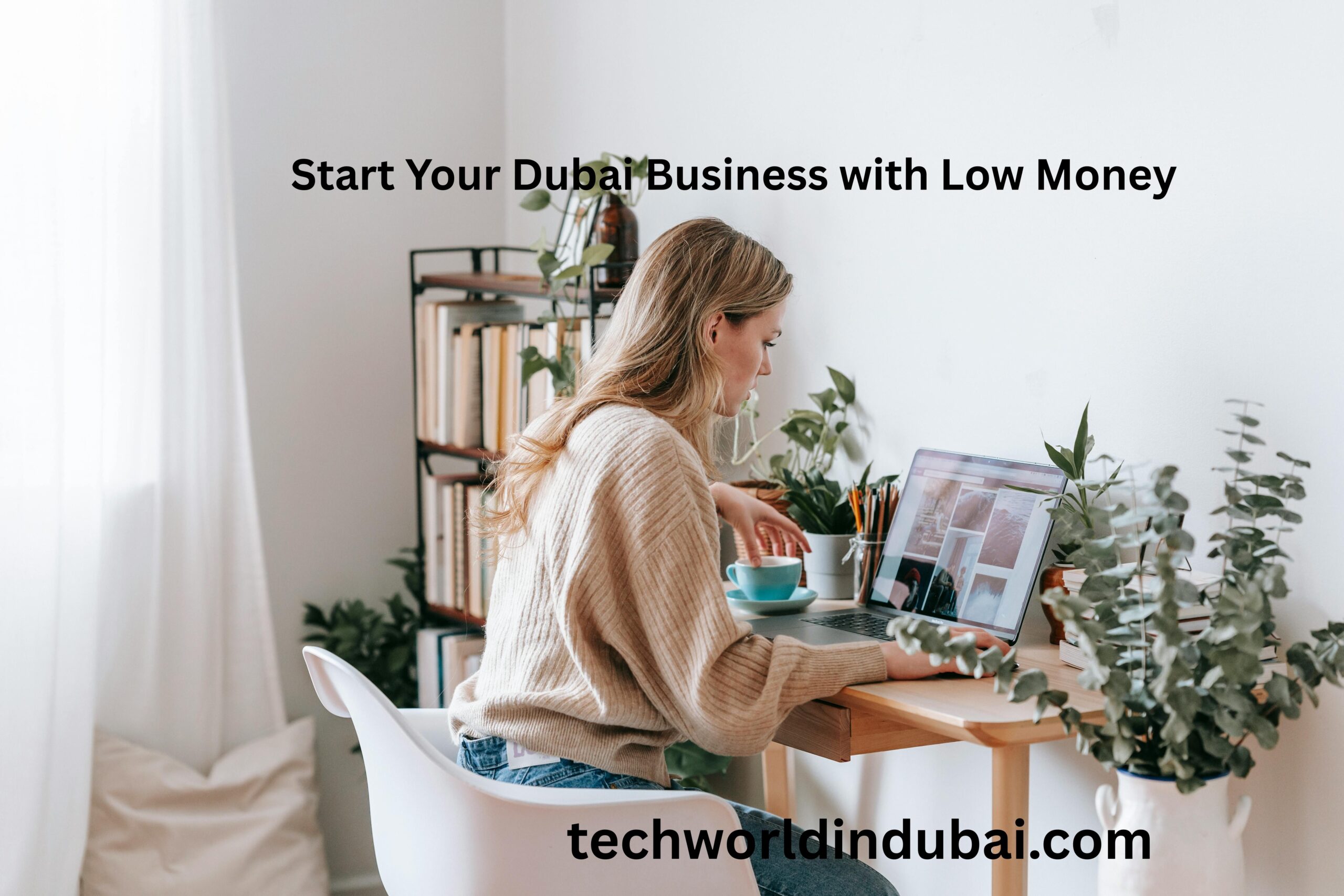 How to Start a Low-Budget Business in Dubai (2026): 20 Profitable Ideas for Beginners